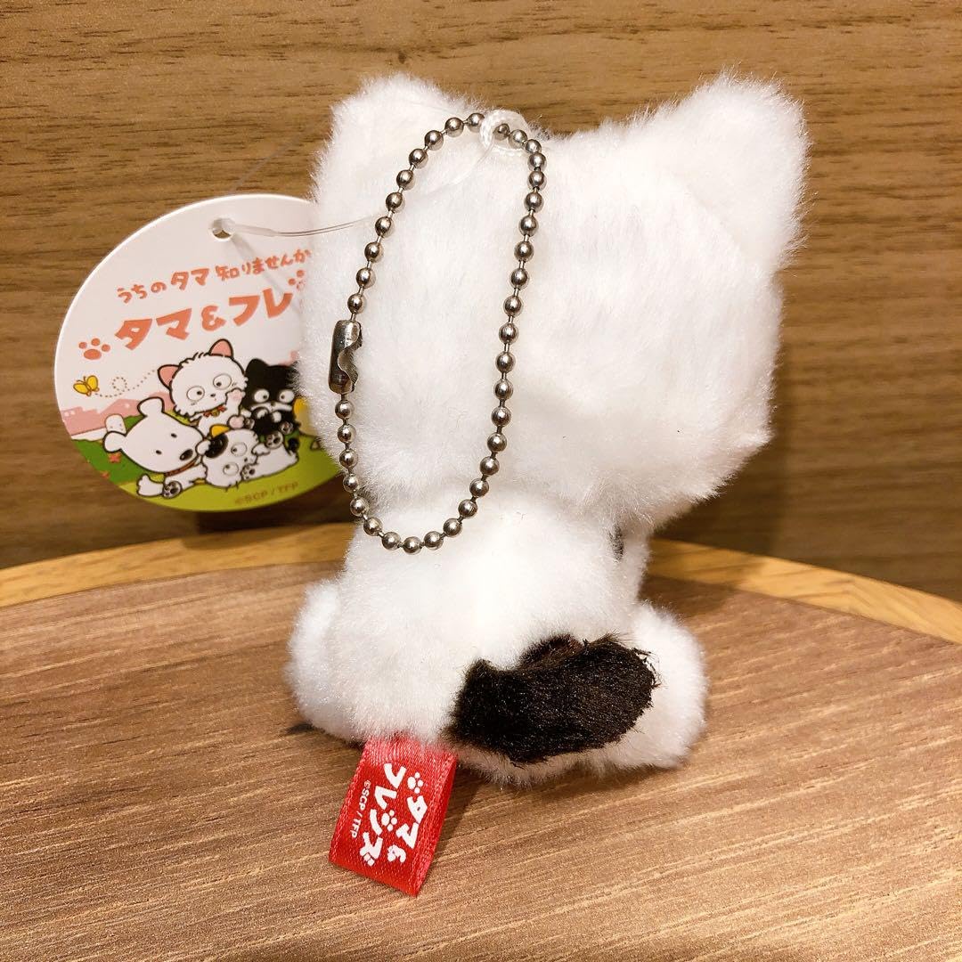 Amazon.co.jp: うちのタマ知りませんか？ タマ&フレンズ タマ