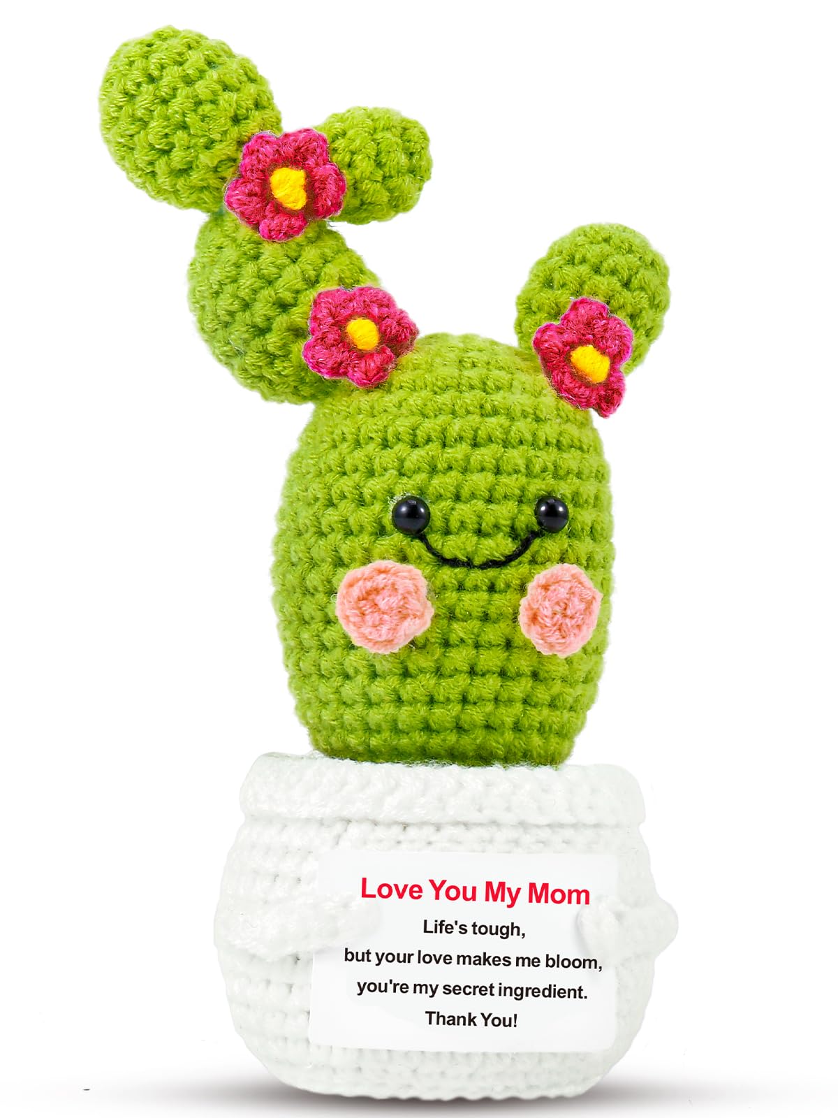 Crochet Blooming Cactus Mom Gift with Code - Save 50% - Image 1