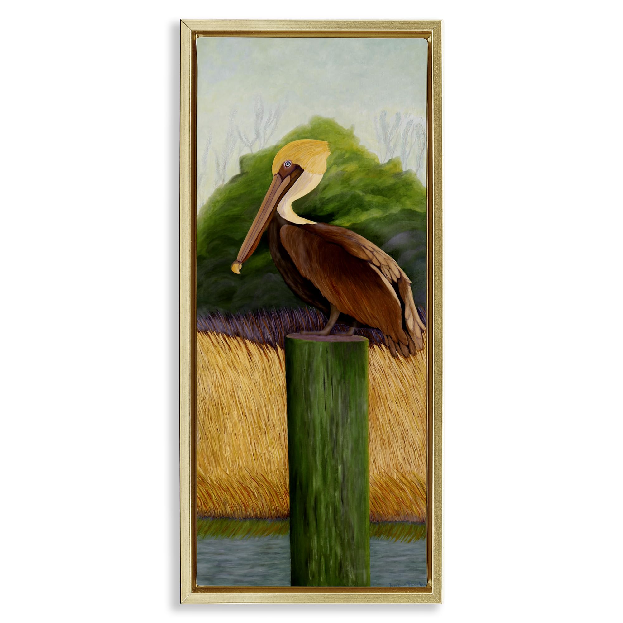 Stupell Industries 'Perched Blue Eyed Pelican', Floating Frame Canvas Art, Gold, 15 x 31 Inches, Easy to Hang and Sturdy, Made in USA, by Barbara Fallenbaum