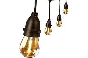 30ft 15-Socket Feit Electric LED String Lights