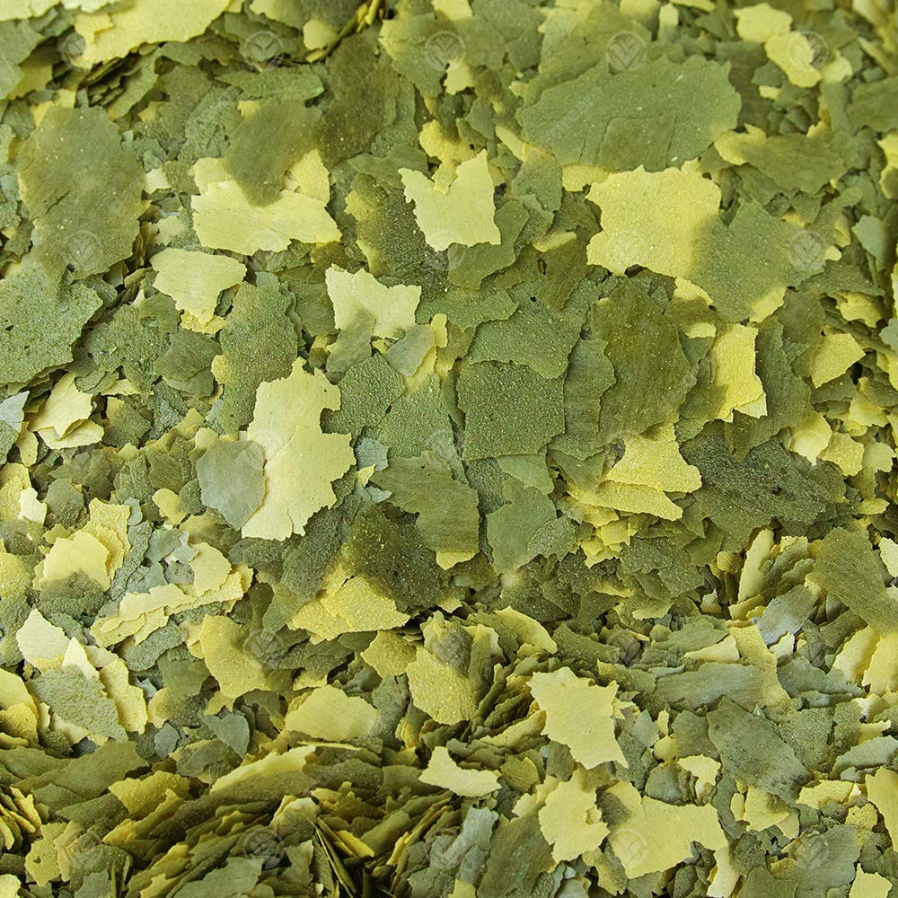 Mélange de Flocons de Poisson Premium pour légumes GardenersDream Nourriture complète pour Poissons d'aquarium