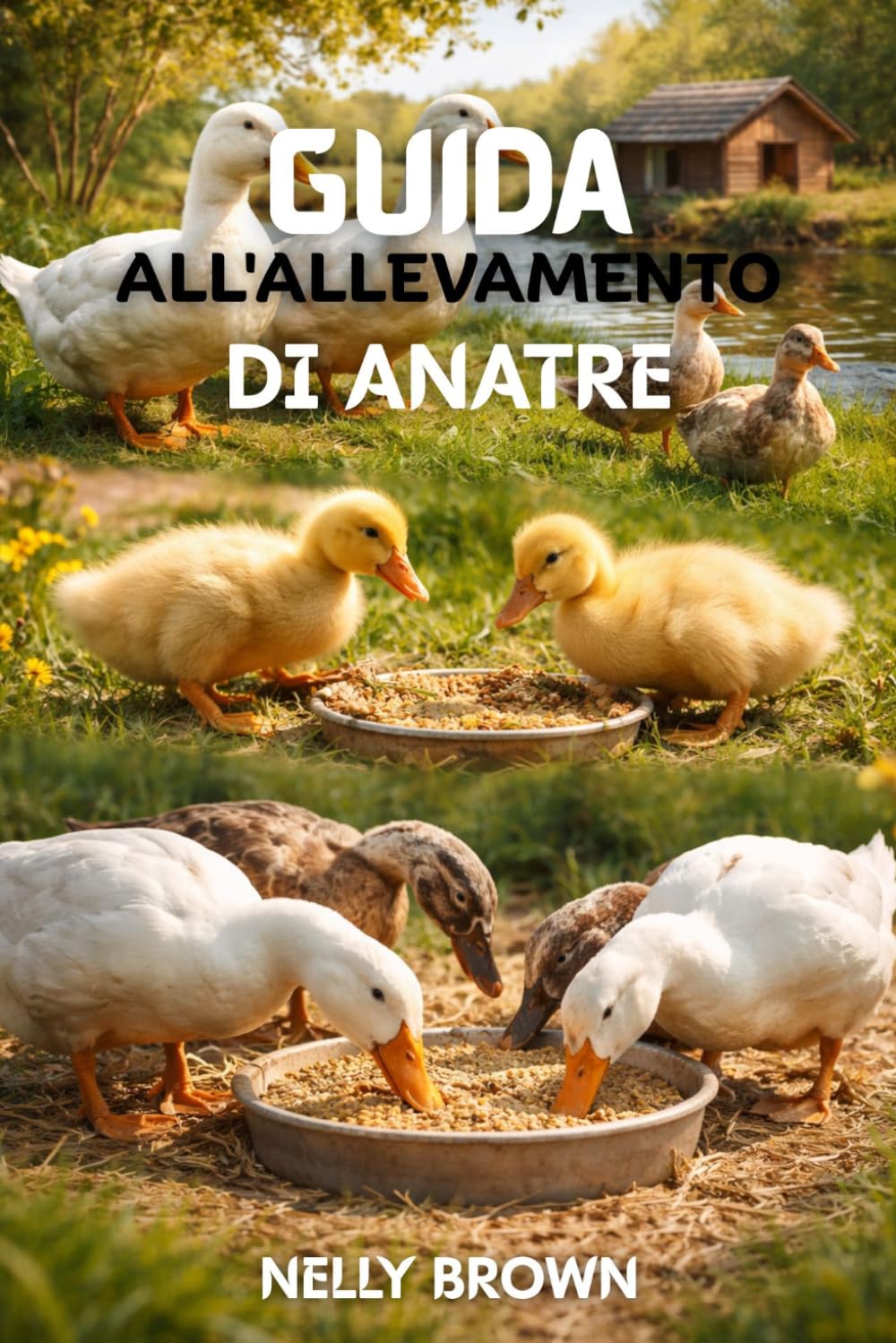 Guida All'allevamento di Anatre: 7 passi pratici per sollevare i cazzi sani, migliorare la produzione di uova e costruire una fattoria sostenibile