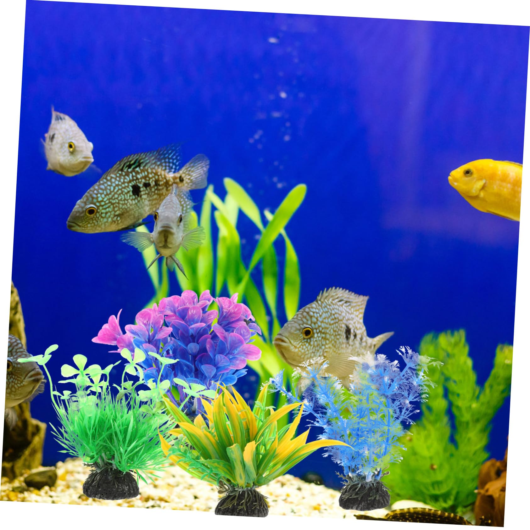 Alipis 5 Set Piante Paesaggistiche per Acquari UV Potere Impianti Piante Acquatiche Pianta Decorazioni per Acquari da Acquario Decorazioni per D'acquario Plastica 5 Pezzi*5