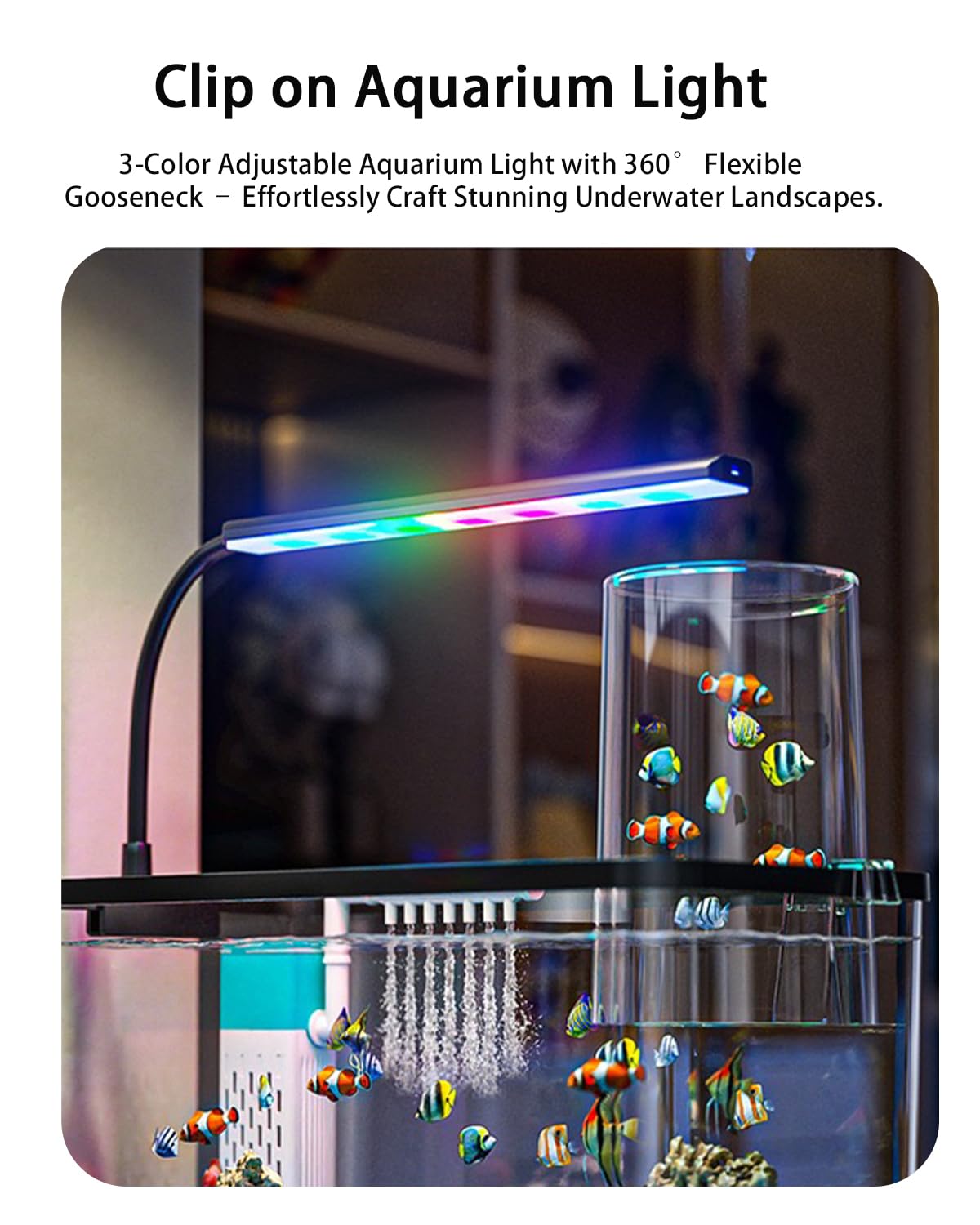 Kit de tanque de peces de acuario de presión negativa, kit de inicio de tanque de peces Betta de 3 galones con luz y filtro, arena azul, perfecto para peces pequeños, camarones o beta