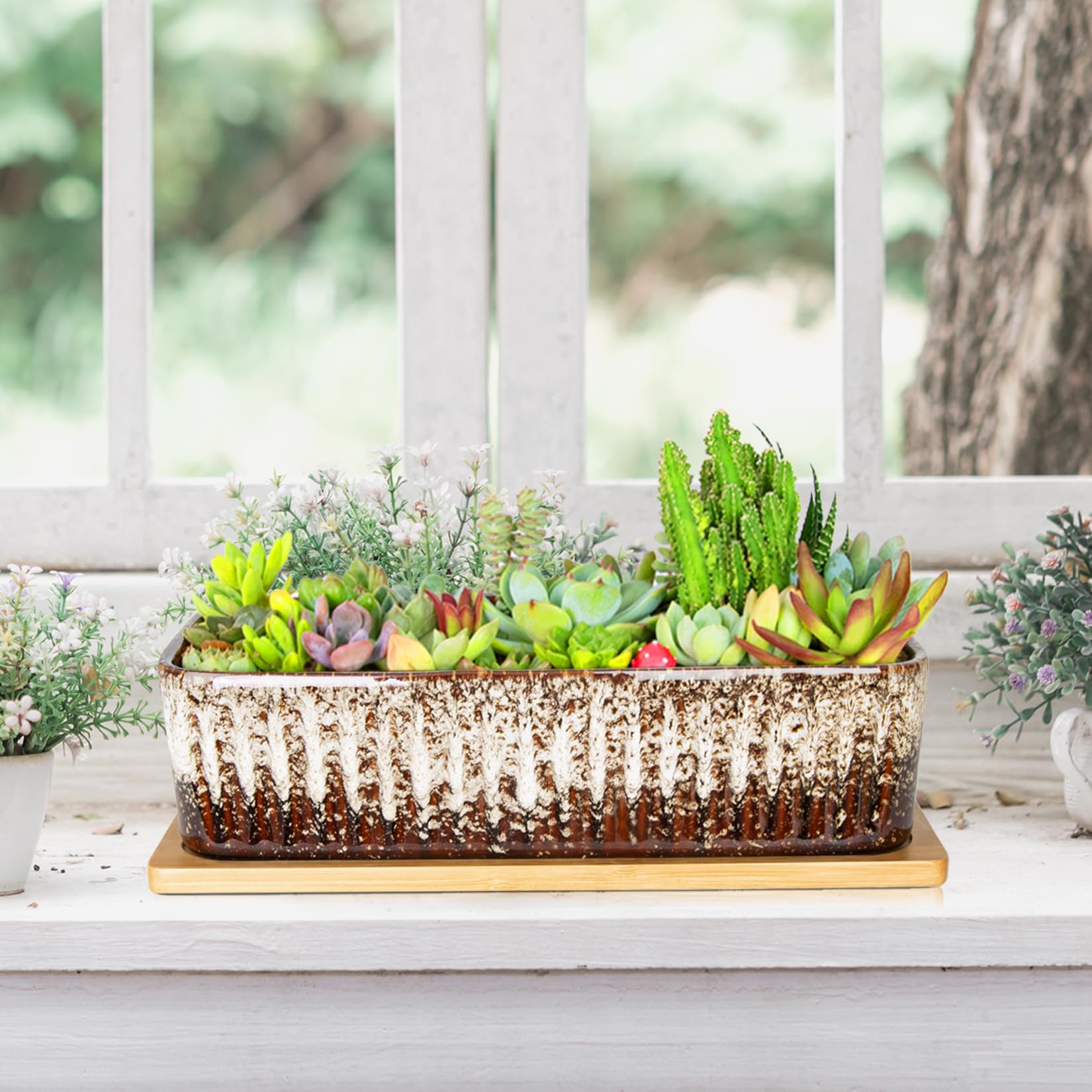 Amazon.com: Succulent Pots - 12 Inch Large Succulent Planters with Drainage  Tray, Window Sill Planter, Long Rectangle Ceramic Pots for Indoor Cactus  Plants Shallow Bonsai Window Box for Home Garden Decor :