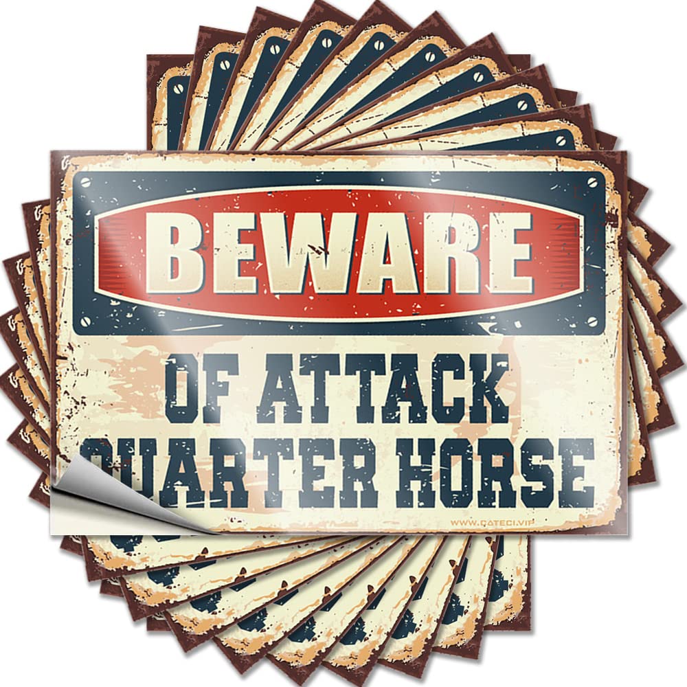 Stitch Saying Durable Bumper | Beware of Attack Quarter Horse Funky Self Adhesive Sticker for Checkered DIY(12X18CM)