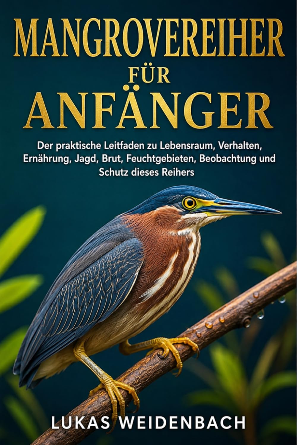 Mangrovereiher für Anfänger: Der praktische Leitfaden zu Lebensraum, Verhalten, Ernährung, Jagd, Brut, Feuchtgebieten, Beobachtung und Schutz dieses Reihers