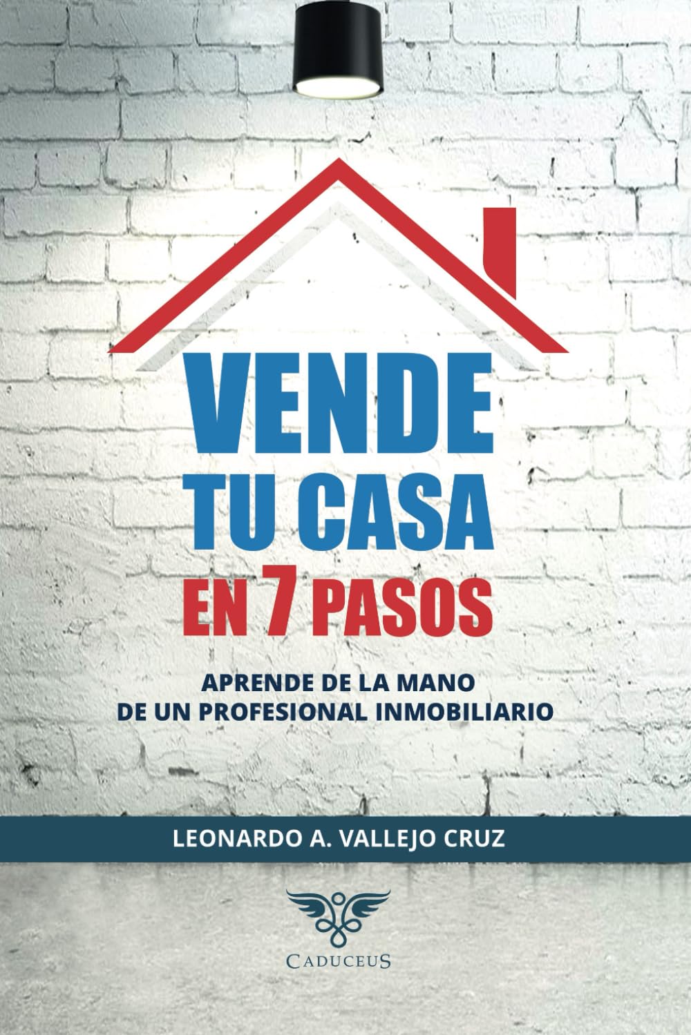 Vende tu casa en 7 pasos: Aprende de la mano de un profesional inmobiliario