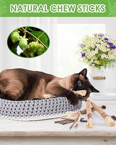 Miniatura 6 de Silvervine - Palitos para gatos, juguetes masticables de hierba gatera natural para limpieza de dientes de gatitos, cuidado dental Matatabi, aumenta