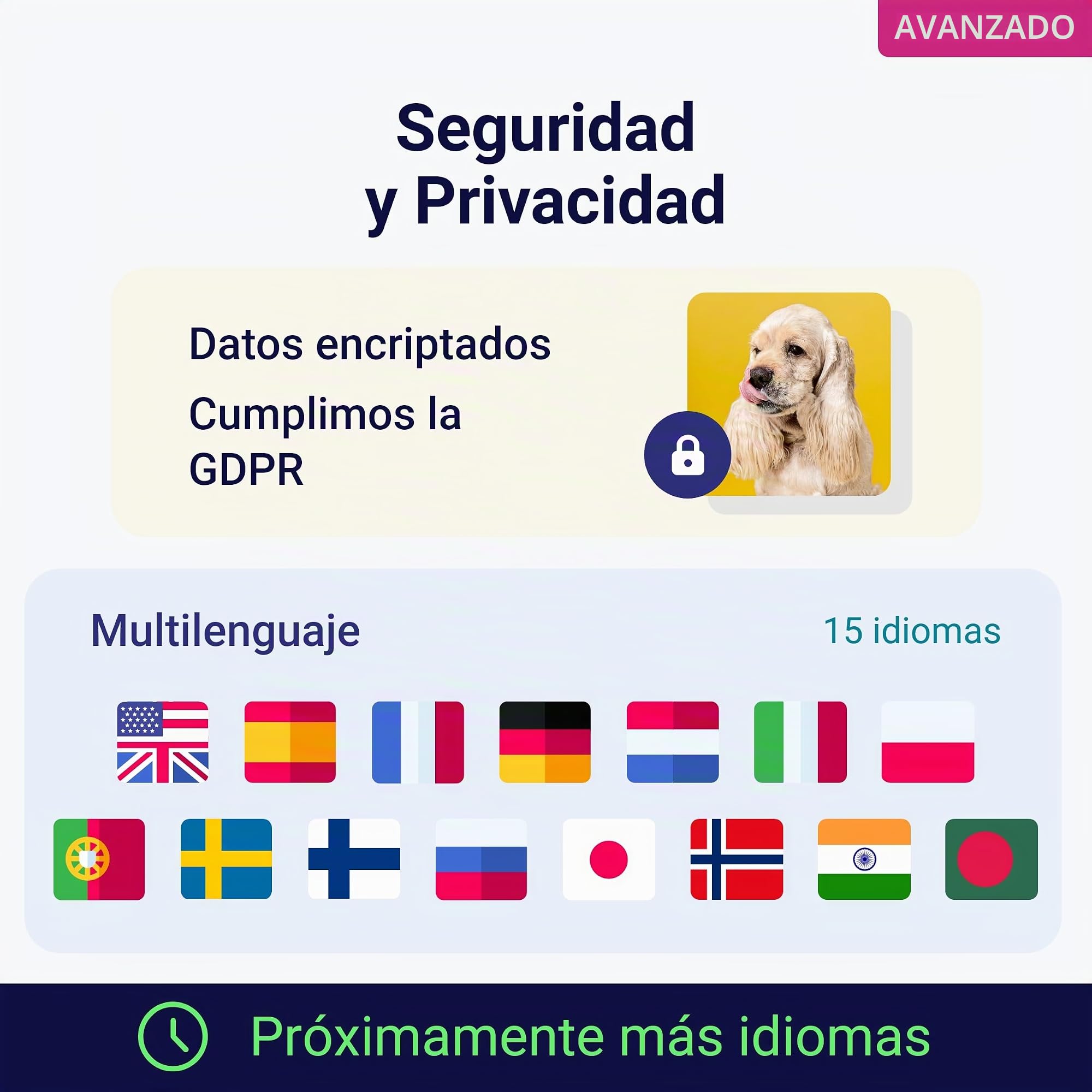 Koko Genetics test ADN perros Advanced (+175 reportes de razas, salud y rasgos). Actualizaciones sin coste