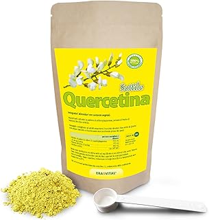 Quercetin Subtilis 270 Kapseln mit wichtigen Begleitern - Baobab-Fruchtpulver und Bacillus Subtilis. Vegan (270 stück (1er Pack))