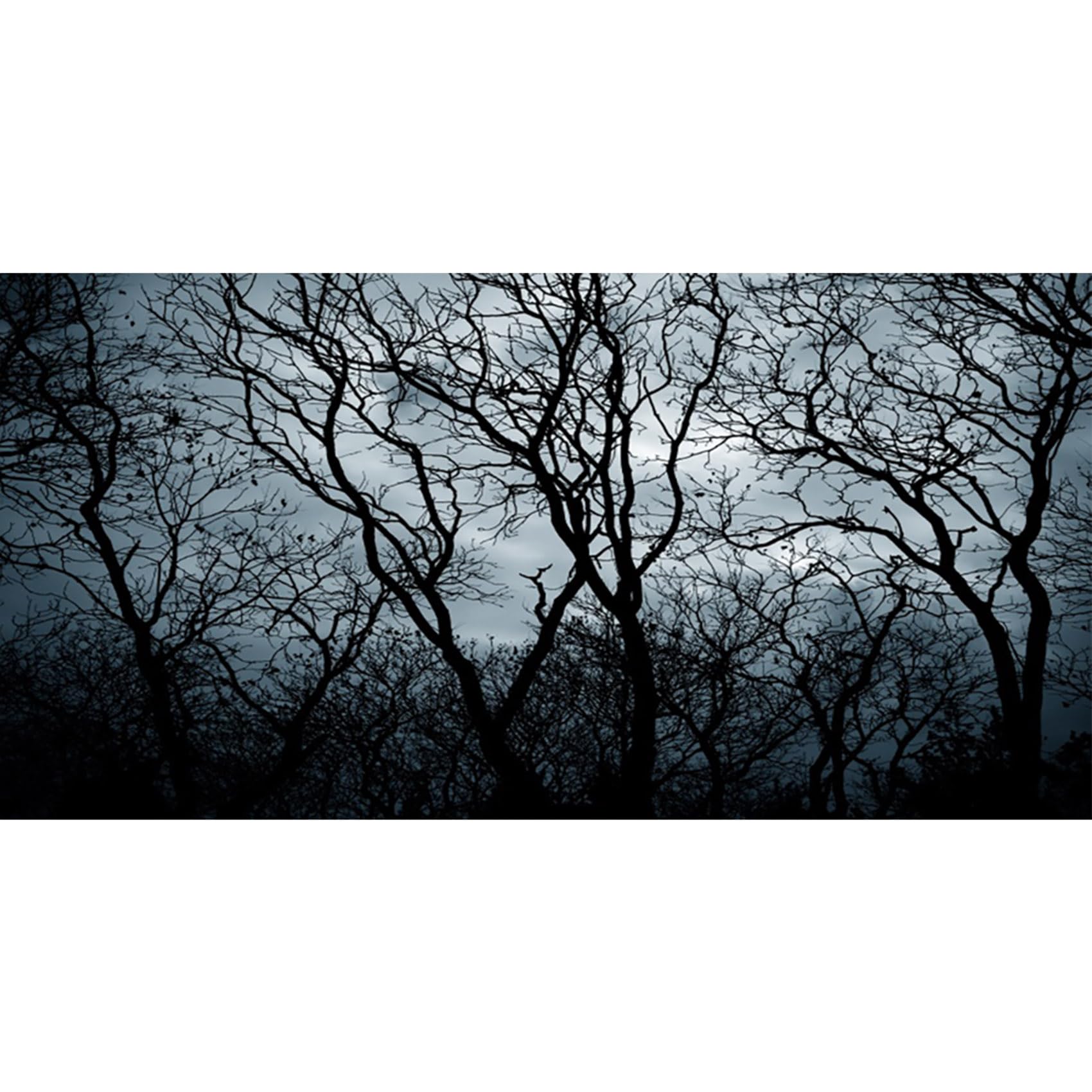 MIRRORANG 180x61cm Goth Aquarium Background Horror Night Scenery Spooky Trees Branches Vinyl Durable Fish Tank Background
