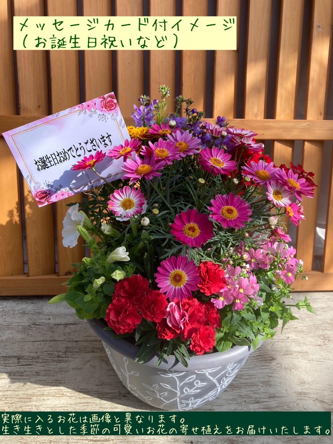 Amazon.co.jp: 季節の寄せ植え アンティーク柄 2鉢セット 軽量