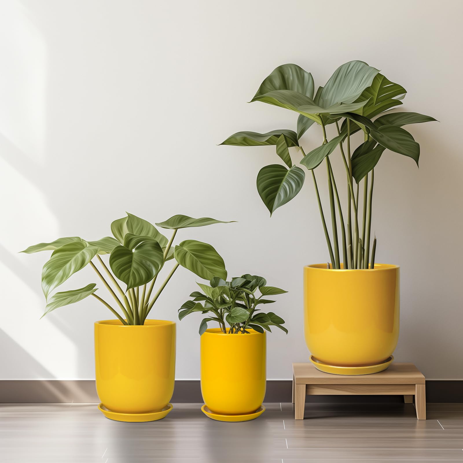 Amazon.co.jp: SUNPOTFOR 12インチ植物用ポット - 屋外植物用