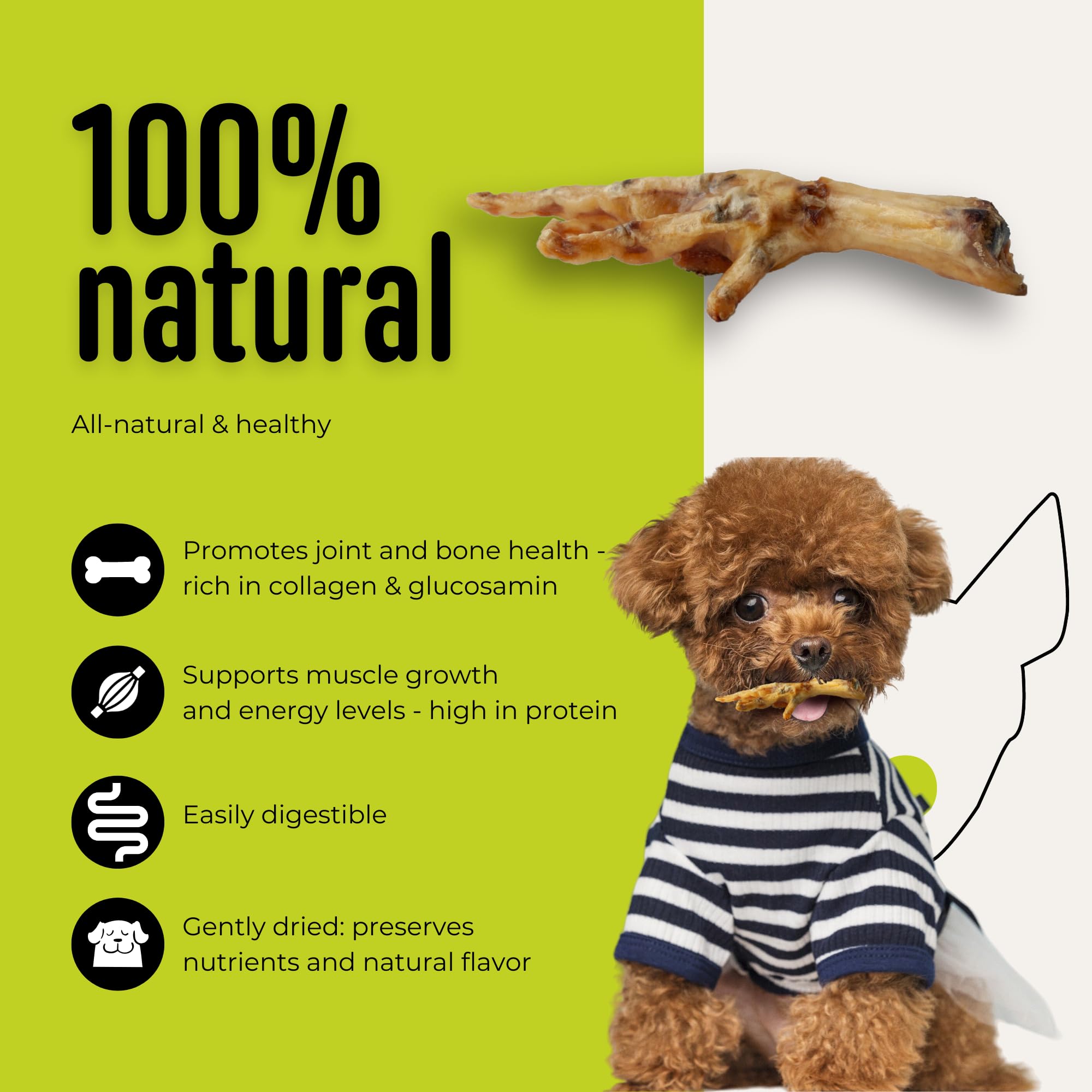 Pattes de poulet - Friandise pour chien - 100 % naturel, un seul ingrédient - Article à mâcher croustillant - Sans céréales - Riche en protéines et glucosamine - Snack sain - Fabriqué en Europe - 1 kg