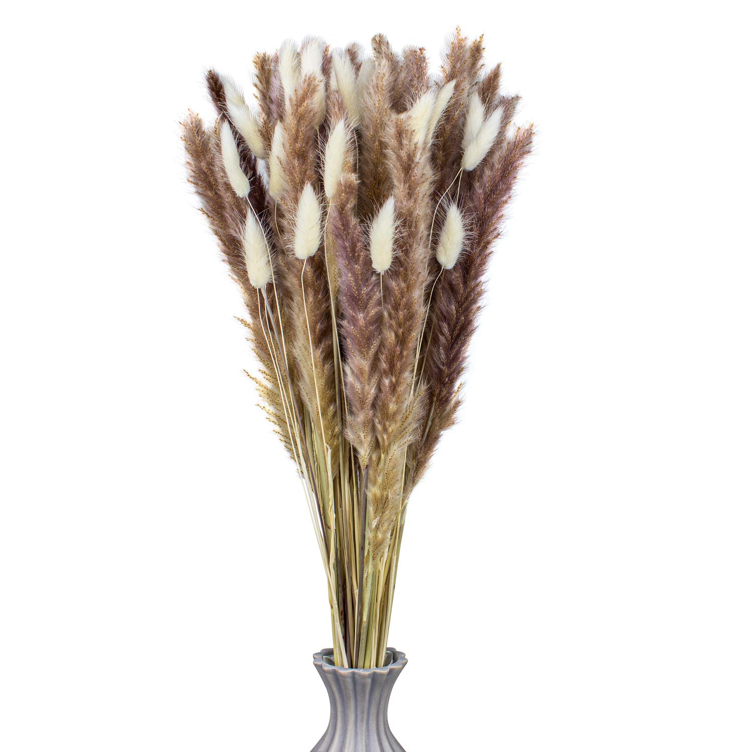 61cm Total 60 pcs Pampas Grass 30 Pcs & Free Bunny Tails Dried