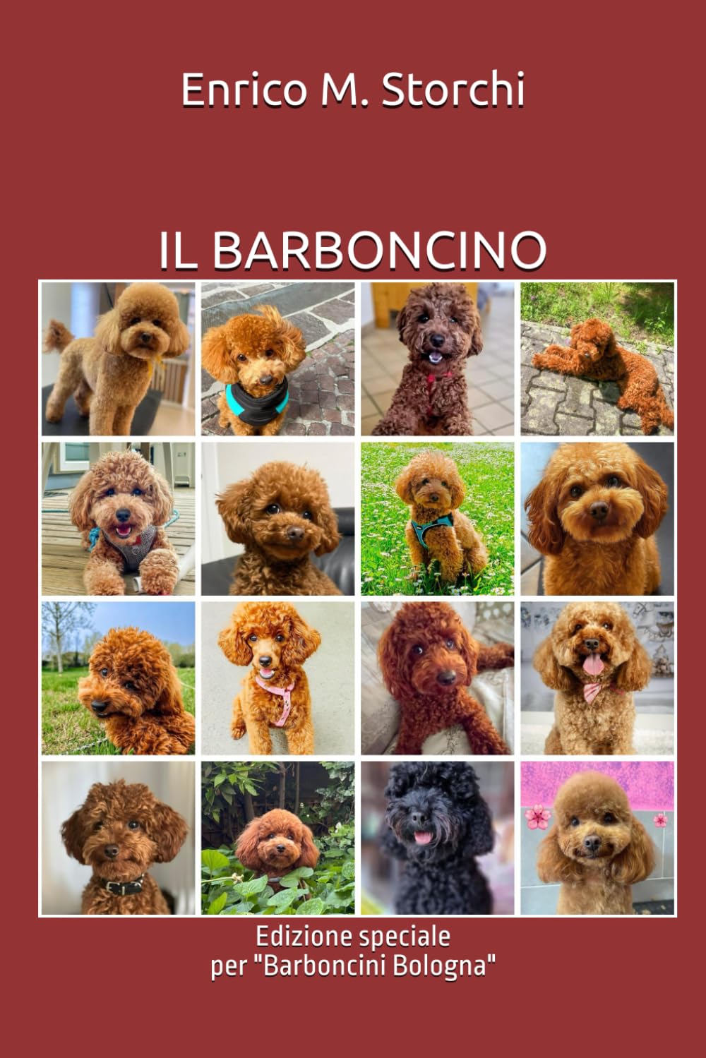 IL BARBONCINO: Edizione speciale per "Barboncini Bologna"