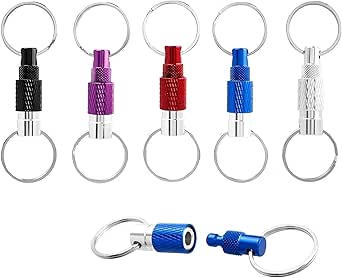 Amazon.com: Bestgle 5 Pack Quick Release Detachable Keychain with ...