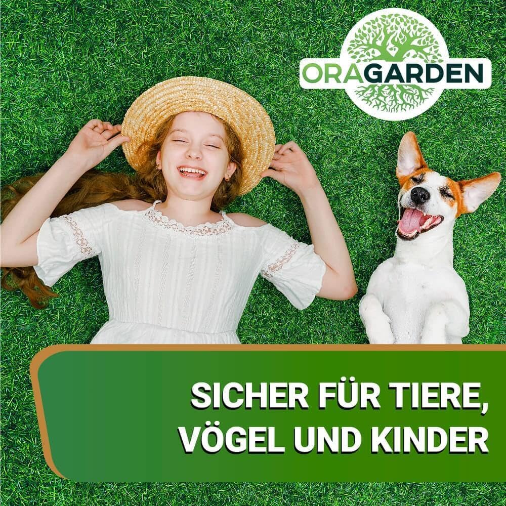 ummantelte Rasenpellets Regenerationsrasen für Schnellkeimenden – Rasensamen für Robusten und Widerstandsfähigen Rasen Plus (10 kg)
