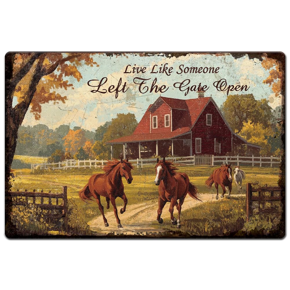 Amazon.com: Hobbspring 1pc Vintage Metal Tin Sign 8x12 inch Retro