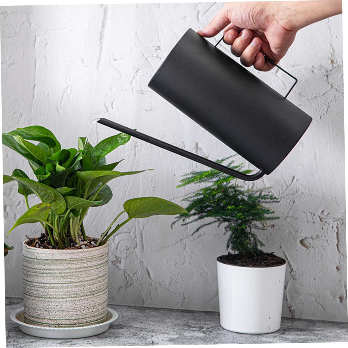 DOITOOL Edelstahl Gießkanne Große Kapazität Metall Sprühkanne Langer Ausguss Spritzfunktion Für Zimmerpflanzen Sukkulenten Balkon Garten Indoor Pflanzenpflege