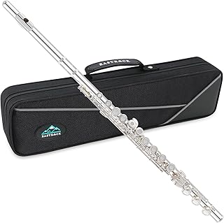 EASTROCK Open Hole Silver Flute with Offset G