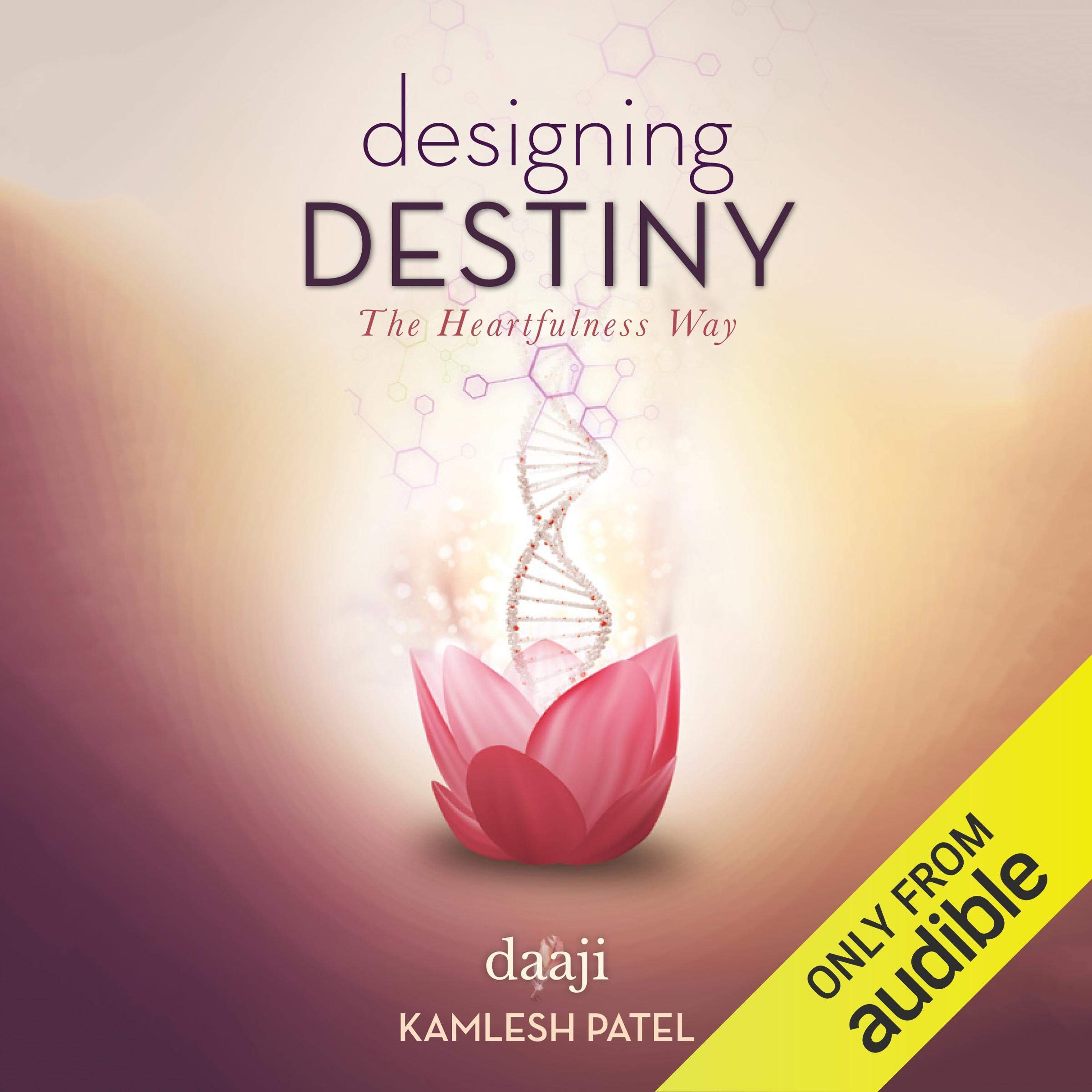 Cover art for Designing Destiny