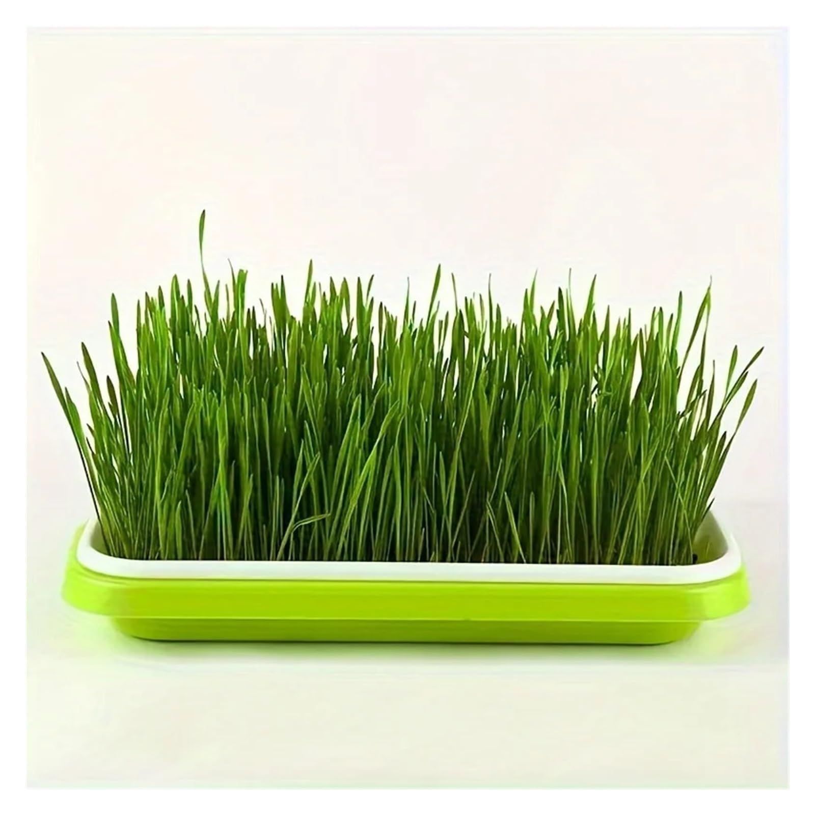 Générique Plateaux de Culture for graines germées, Panier hydroponique, germoir sans Sol, Kit Plateaux Germination avec Couvercle for Jardin