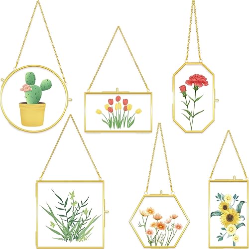 Miniatura 1 de 6 marcos de vidrio de latón para flores prensadas, marcos de fotos colgantes con cadena, marco de vidrio doble transparente, marco flotante dorado,