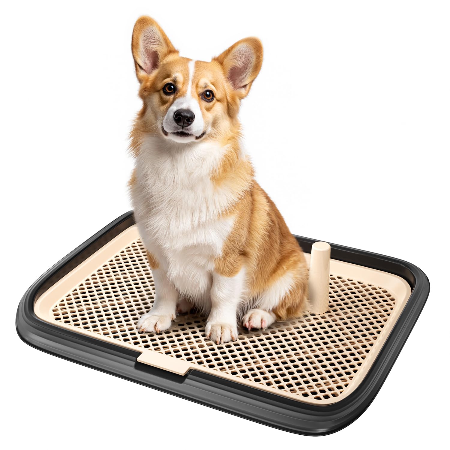 KOLA PANDA Dog Potty Tray