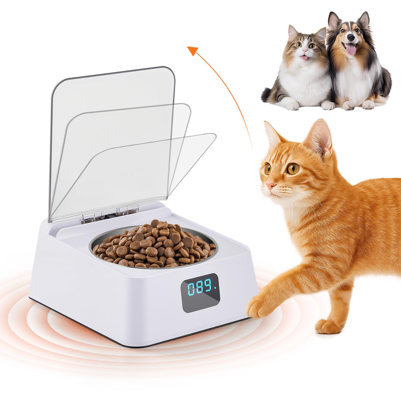 Futterautomat Katze nassfutter mit 350 ml Katzennapf,Nassfutterautomat für Katzen und Hunde Kleine,Automatic cat Feeder für Kurzhaar,Maine Coon,Ragdoll