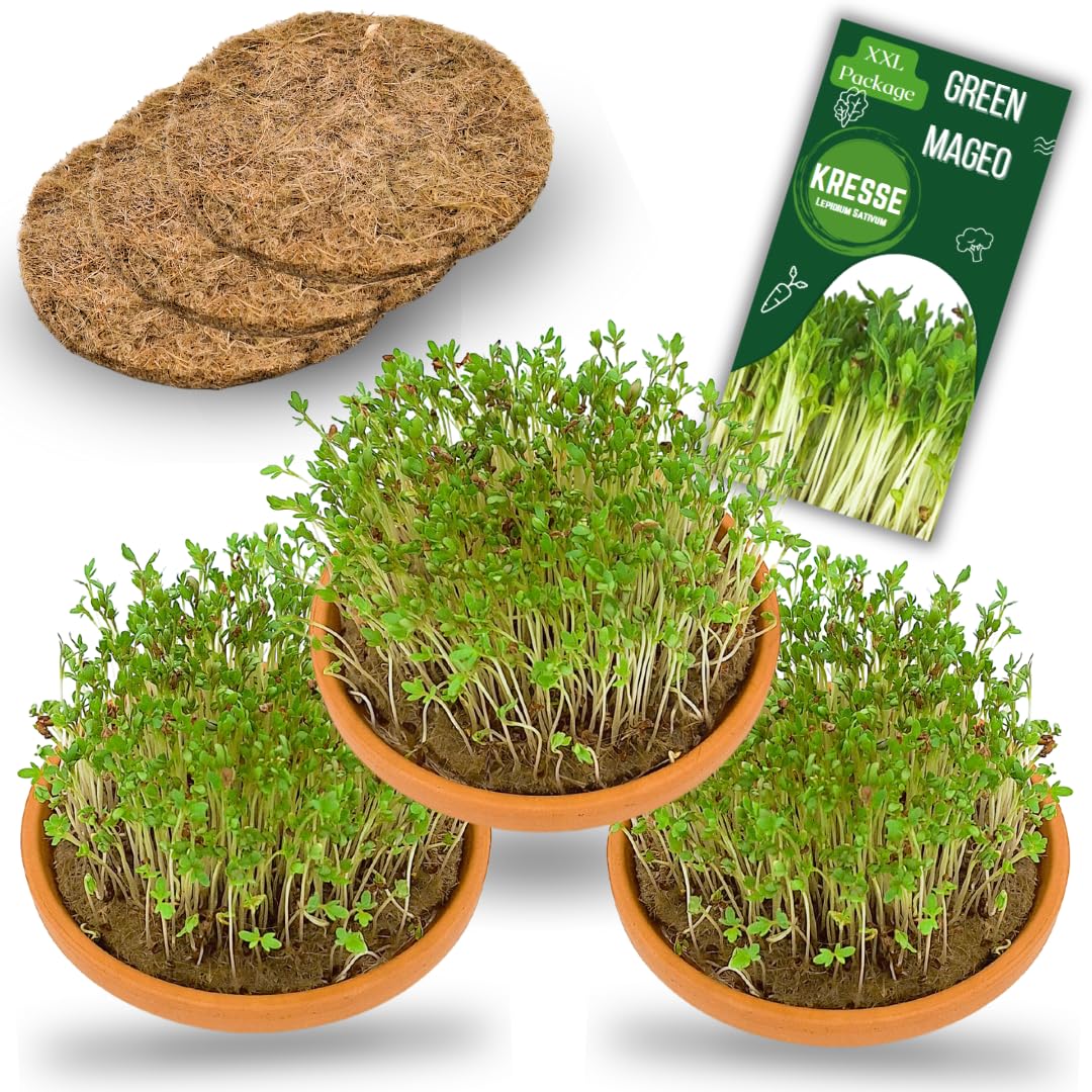 Kresse Anzuchtset - 3 Kresse Anzuchtschalen MAXI Packung Kresse Samen Jutteideal für Anzucht und Microgreens