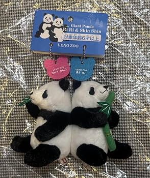 上野動物園 パンダ シンシン リーリー ぬいぐるみ 517nFQeJm2L._UF350,350_QL50_.jpg