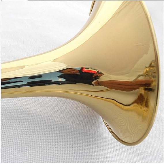 Standard Trombone Trombone Tenor Bb Lacquered Trombone Valve Trombone