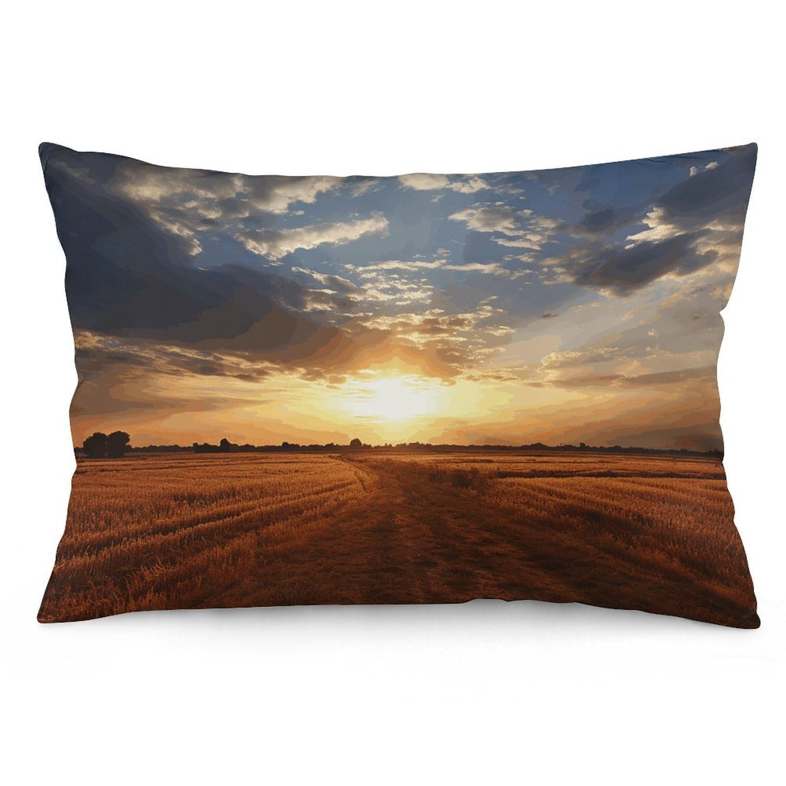 2 Pack Pillow Cases for Hair and Skin, Soft Breathable Pillow Case Covers with Hidden Zipper, Field Sunrise Pillowcase 16 "x24 Pillow Covers for Sleeping Gift