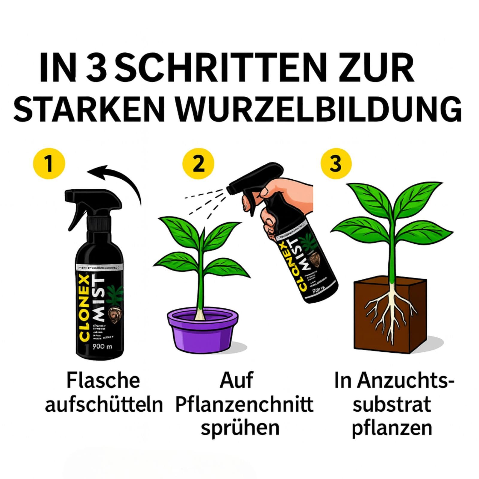 Weedness Clonex Mist 750 ml - Bewurzelungspulver für Stecklinge Wurzelaktivator Bewurzelungshormon Rooting Gel Wurzelpulver Bewurzelungshilfe