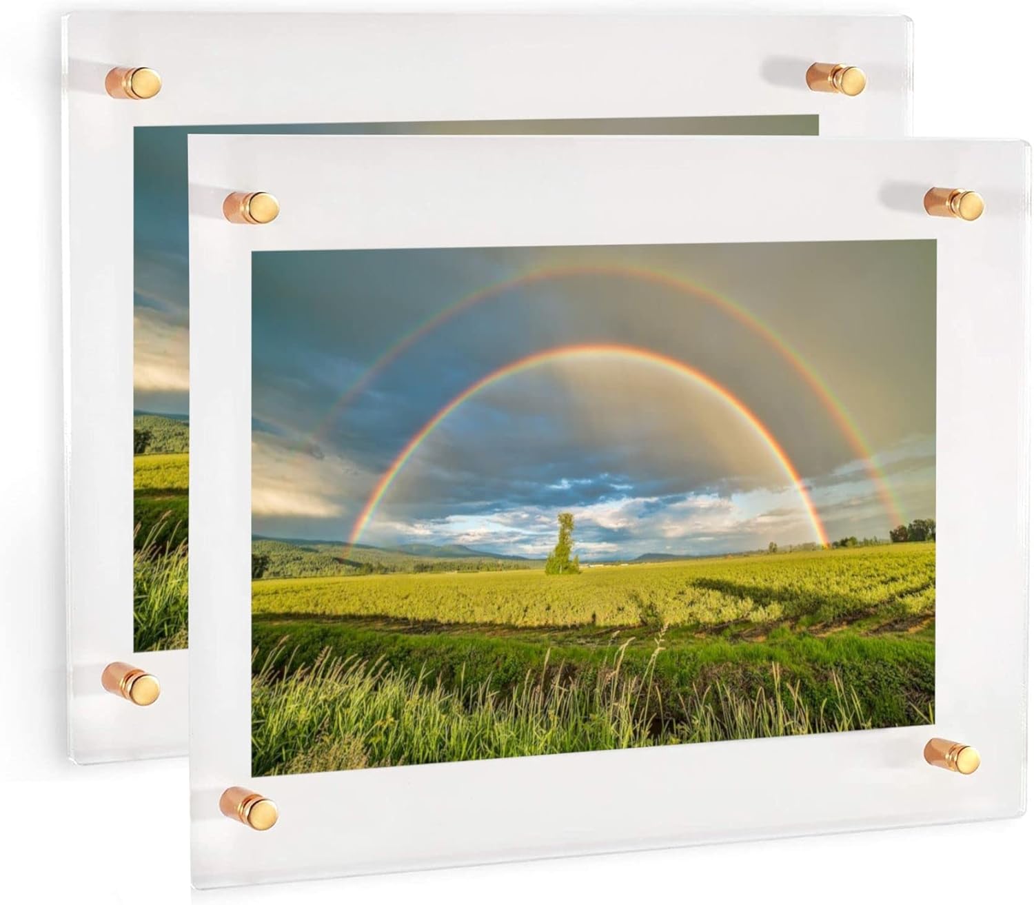 (24" x 30") 2 Pack Clear Acrylic Wall Mount Floating