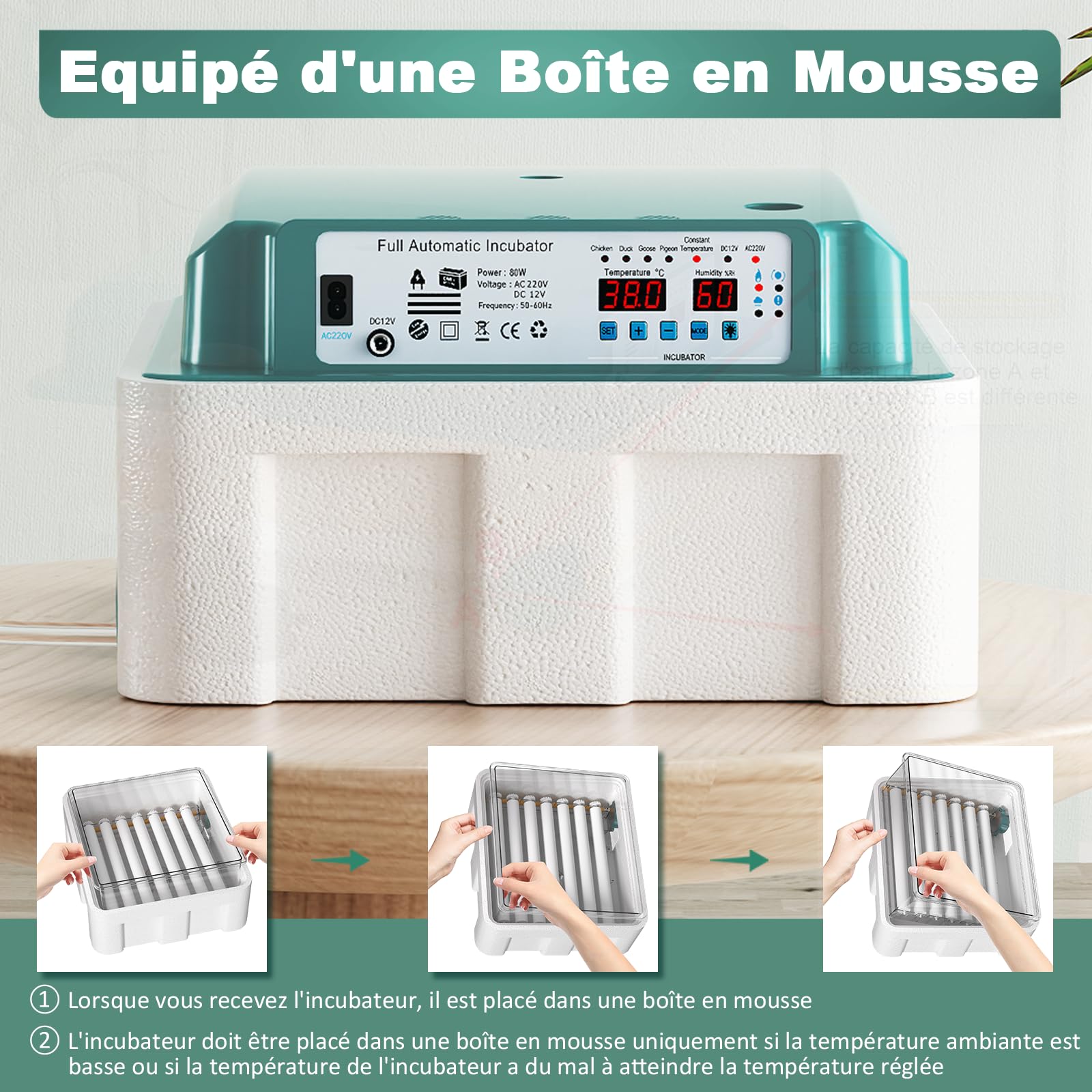 CoInceptus Couveuse oeuf automatique Incubateur 24-36 Oeufs | Retournement auto ajout d’eau auto affichage température/humidité régulation thermique pour œufs poule canard oie caille