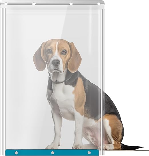 XL Dog Door Replacement with Ideal Pet