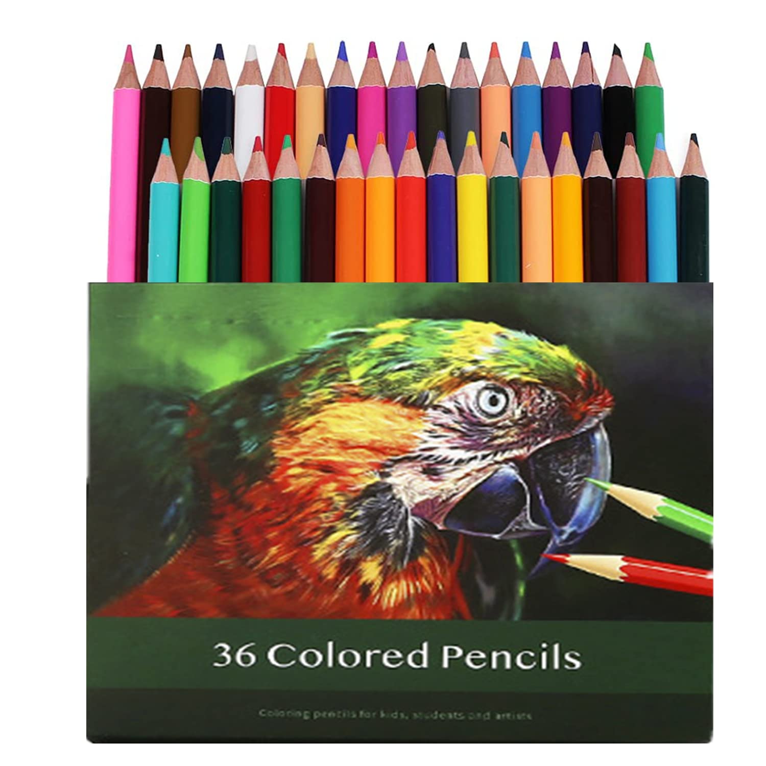36 matite colorate, matite colorate di qualità per adulti, professionisti e coloristi, nucleo morbido, set di matite da disegno per bambini principianti