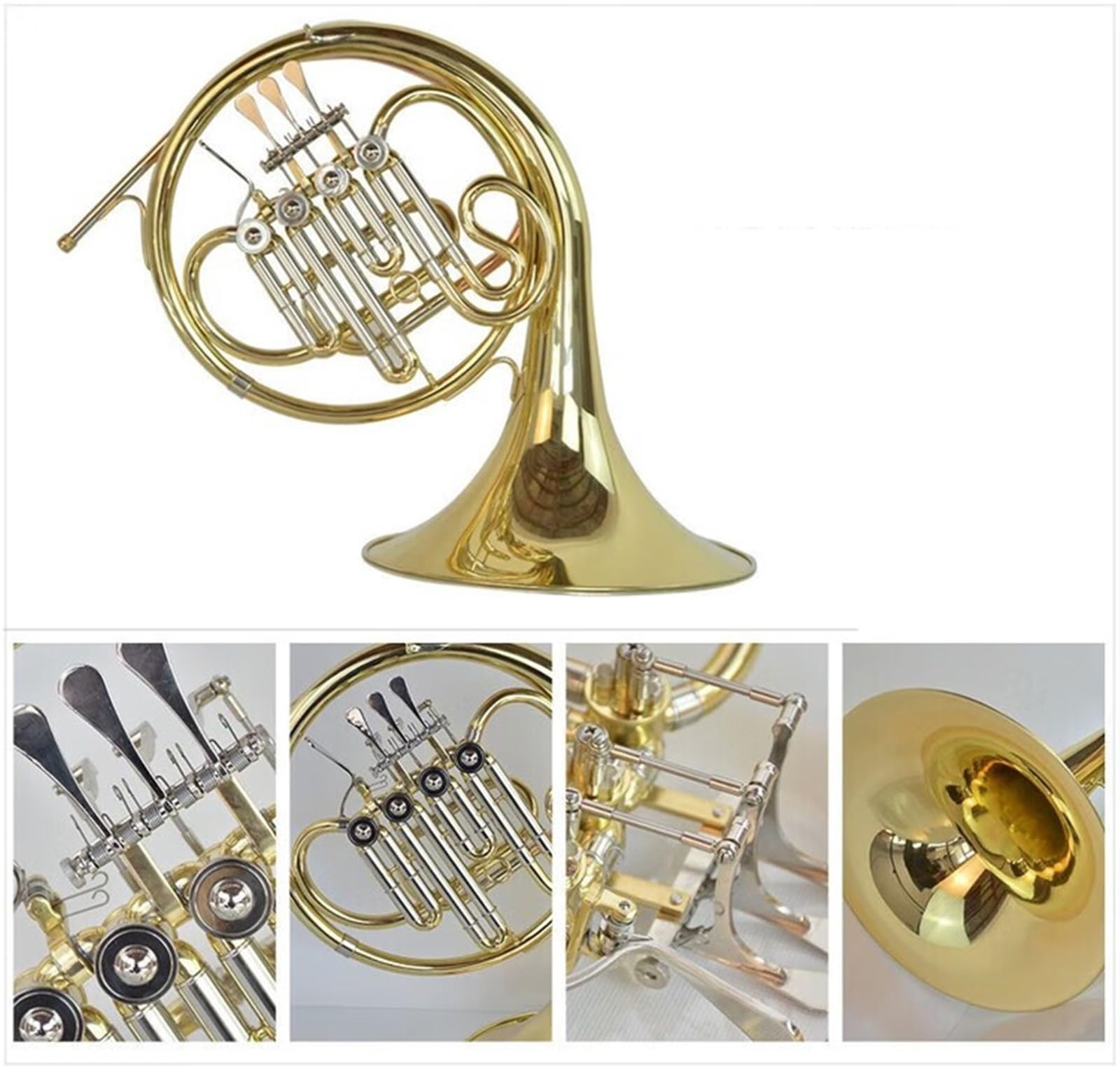 Waltornia Muzyczna Egzamin Dla Początkujących Na Róg Francuski Wybór Klucza(Four-key single row B/F)