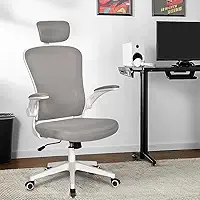 Cadeira de escritório ergonômica com estofado de mesh (Cinza)