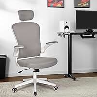 Cadeira de escritório ergonômica com estofado de mesh (Cinza)