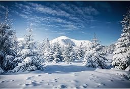 YongFoto 1.5x1m Winter Snow Landscape Photography Backdrop Christmas Tree Mountain Snowy Sky Blue Nature Landscape Christmas Background Family Party Children Portraits Photo Studio Props Vinyl
