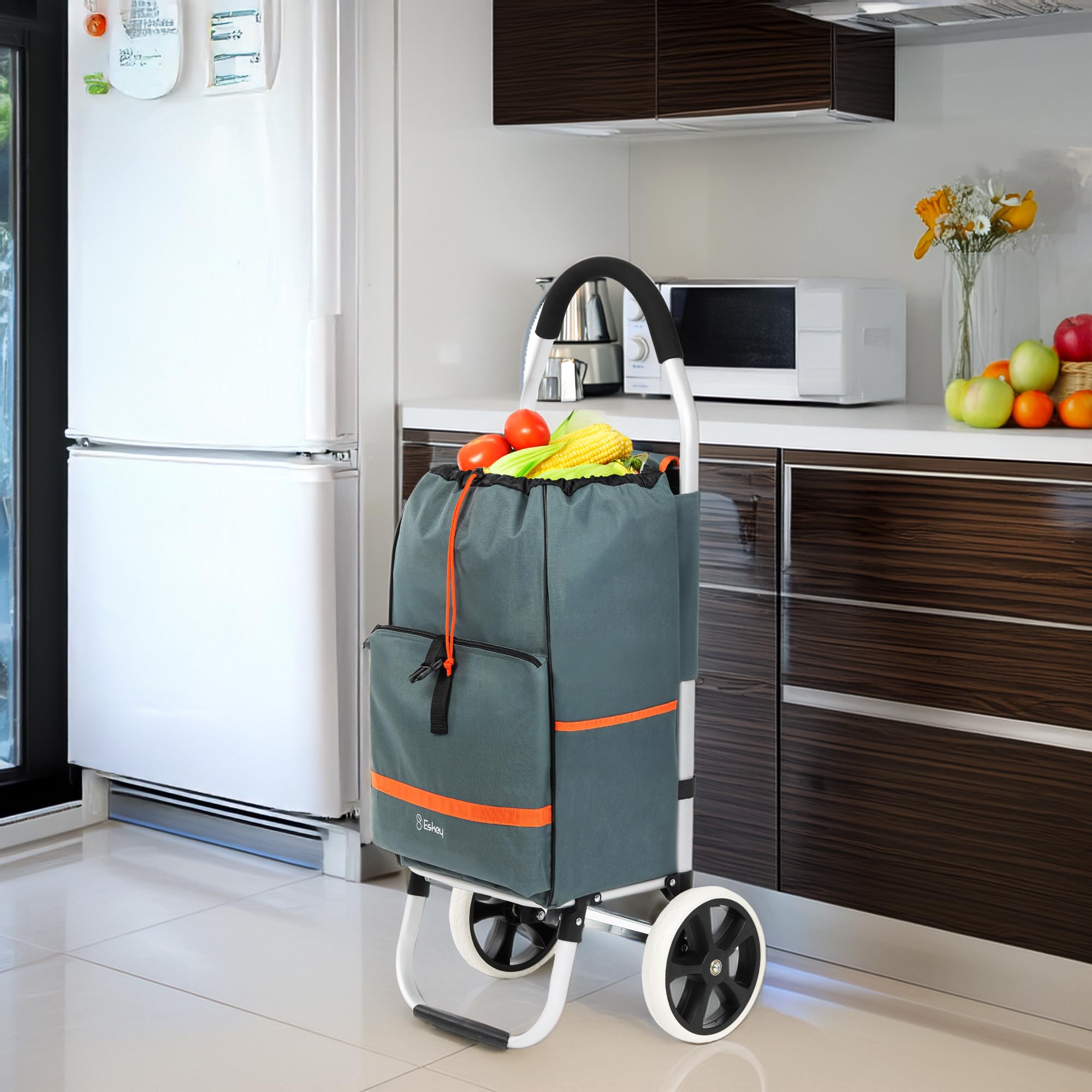 Eskey Trolley per la spesa con vano frigorifero, robusto trolley pieghevole, impermeabile, 50 l, grigio