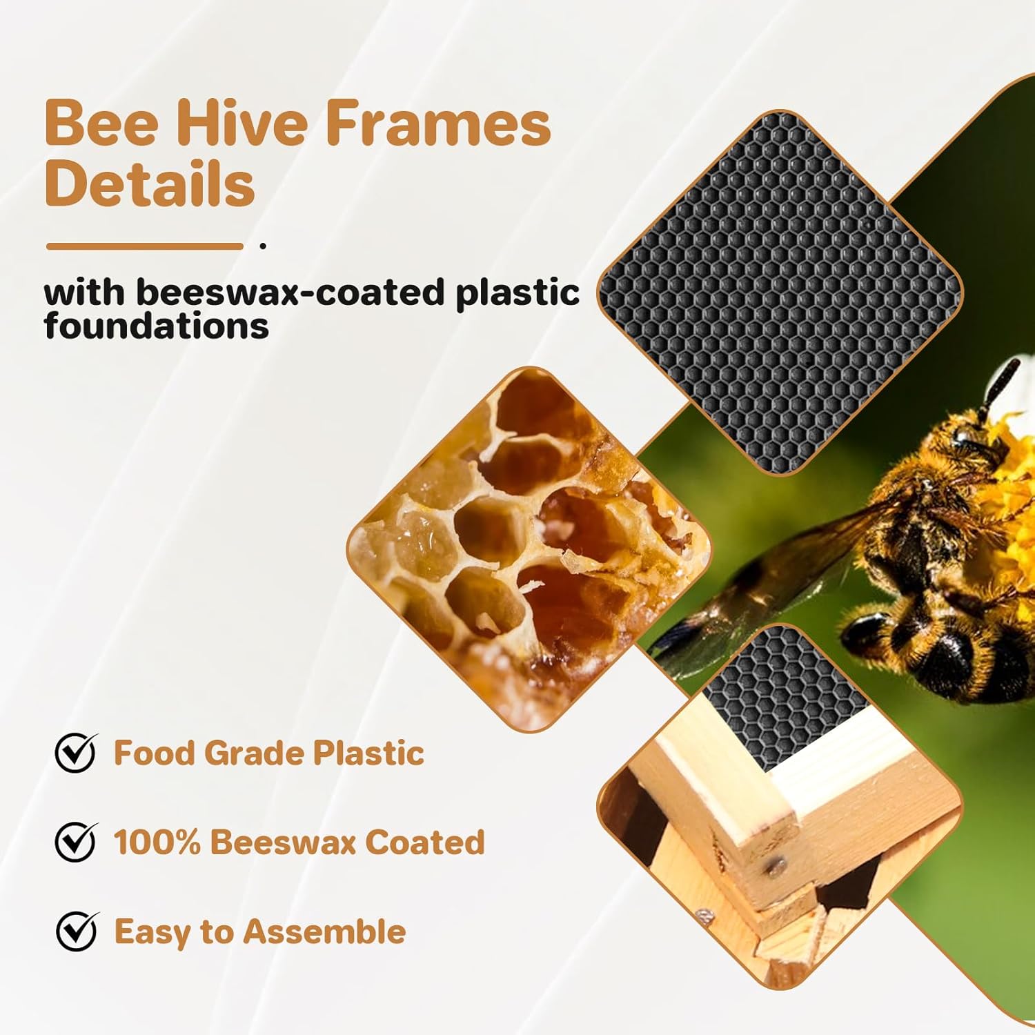 10 Frame Deep Brood Bee Hive Box, Langstoth Beehive Deep Box with Transparent Acrylic Windows, Bee Box Dipped in 100% Beeswax Includes Wooden Beehive Frames & Waxed Foundations for Beginner Beekeeper