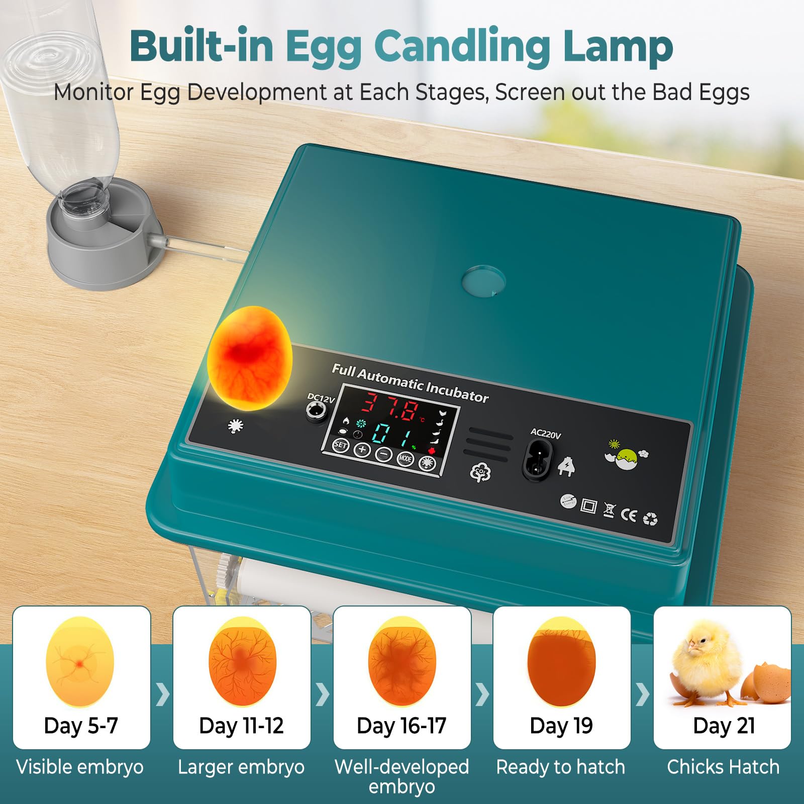 Incubadora Huevos Gallina, Incubadora de 16-64 Huevos con Volteo Automático de Huevos y Humidificación Automática, Fuente de Alimentación Dual, Pantalla LED, Lámpara de Huevo (16 Huevos)