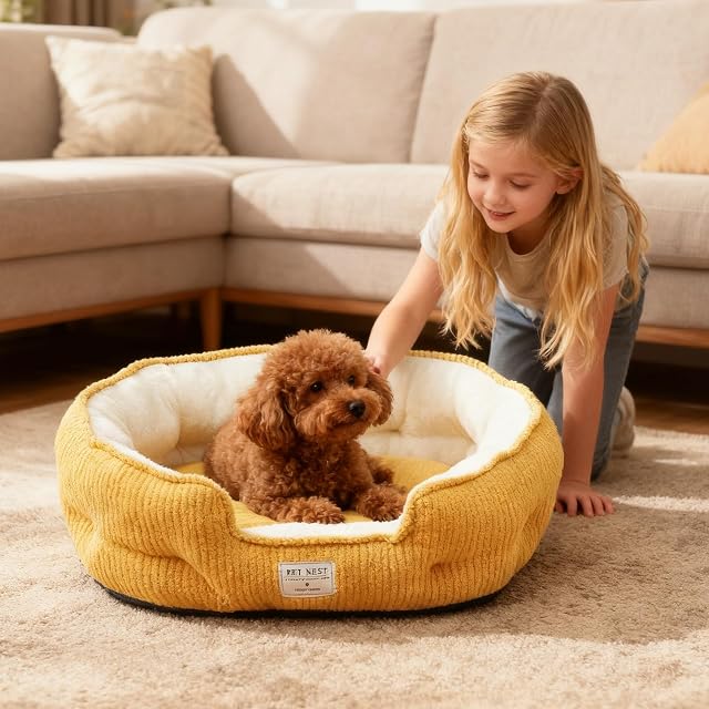 Foto 2 de 6 de PETCUTE Cama para Perros Grandes,Medianos y Pequeños,Lavable,Cama Ortopédica para Perros,Bordes…