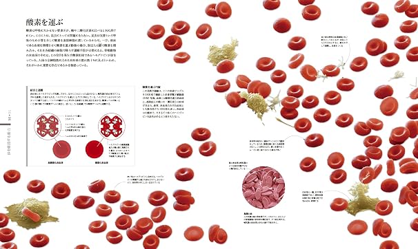 Micro Life 図鑑 美しきミクロの世界