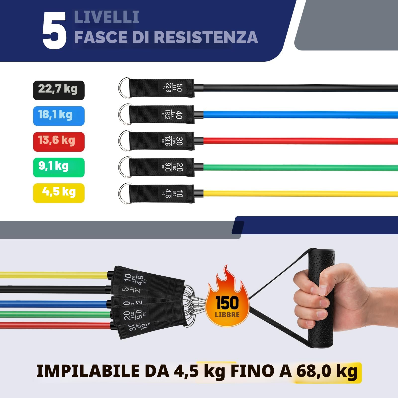Fokky Elastici Fitness, Elastico Fitness 5 Livelli di Bande Elastiche Palestra Con Ancoraggio,Maniglie,Cinturino Alla Caviglia,Ideale per Yoga,Pilates,Costruzione Muscolare